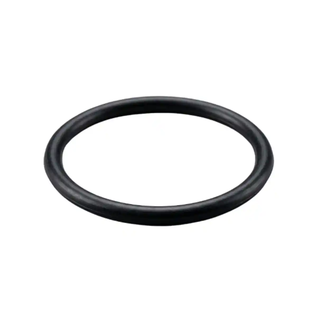 Junta tapa superior filtro piscina Coral QP 01012005